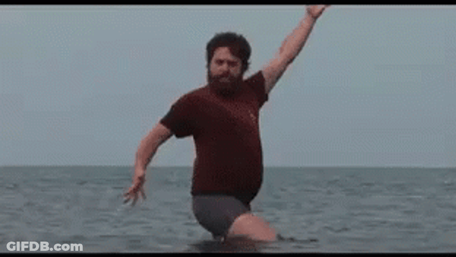 Zach Galifianakis Hilarious Beach Pose GIF