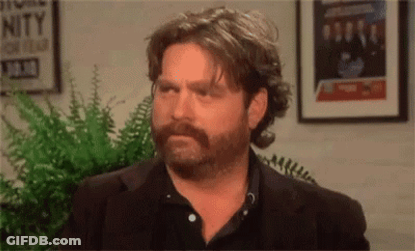Zach Galifianakis Intense Stare GIF