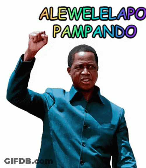 Zambia Afronaut Arm Raised GIF