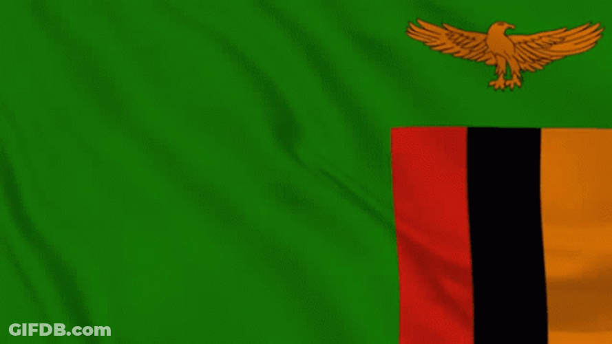 Zambian Flag Flapping In The Wind GIF