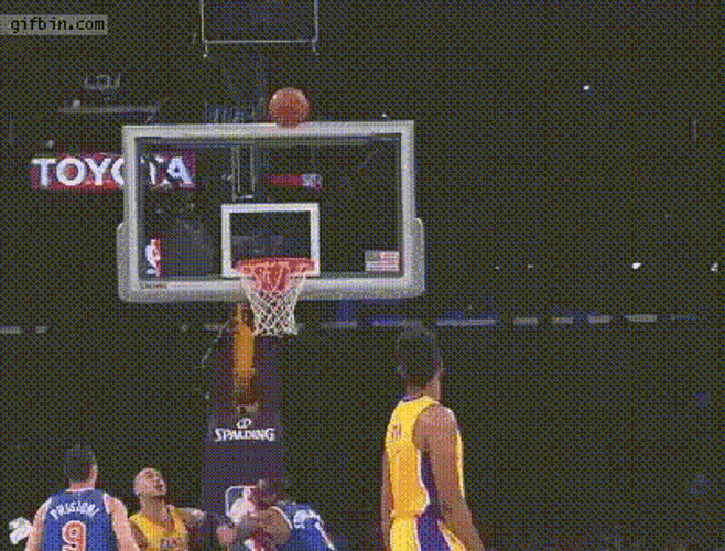 Zaunvi Caitvitwt GIF