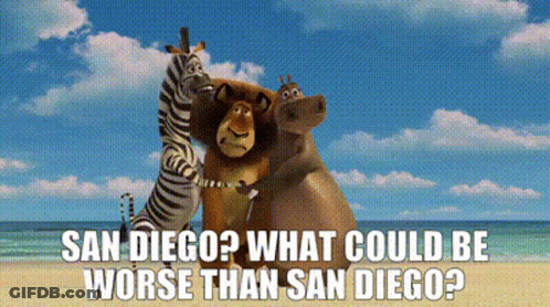 Zebra Hippo Giraffe On Beach Saying San Diego What Could Be Worse GIF