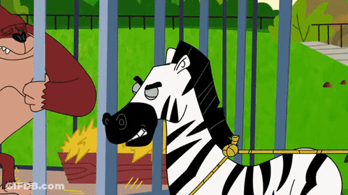Zebra In Cage With Gorilla Background GIF