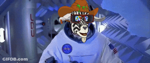 Zebra In Cowboy Hat And Sunglasses GIF