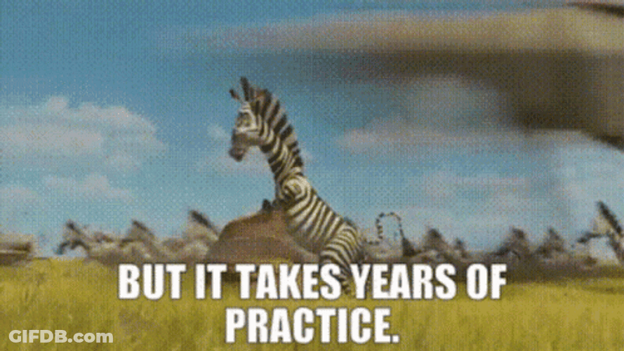 Zebra In The Jungle Practice Running GIF