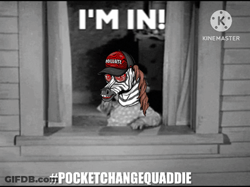 Zebra Wearing Red Hat Saying Im In GIF