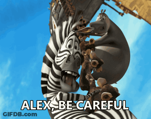 Zebra With Alex Be Careful GIF