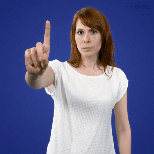 Zeige Finger Nope Meme GIF
