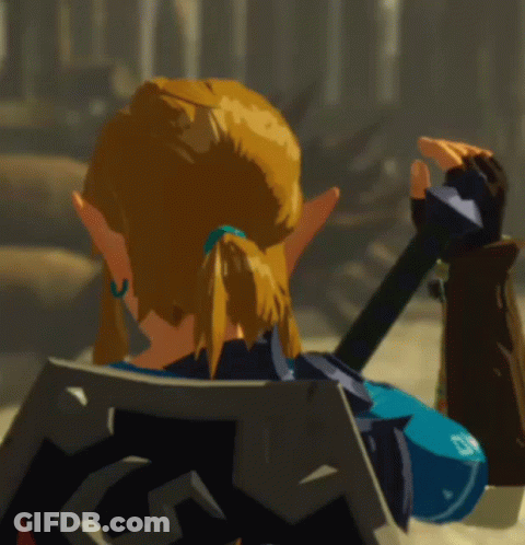 Zelda Bot W Link Embarrassed Hyrule Warriors Age Of Calamity GIF