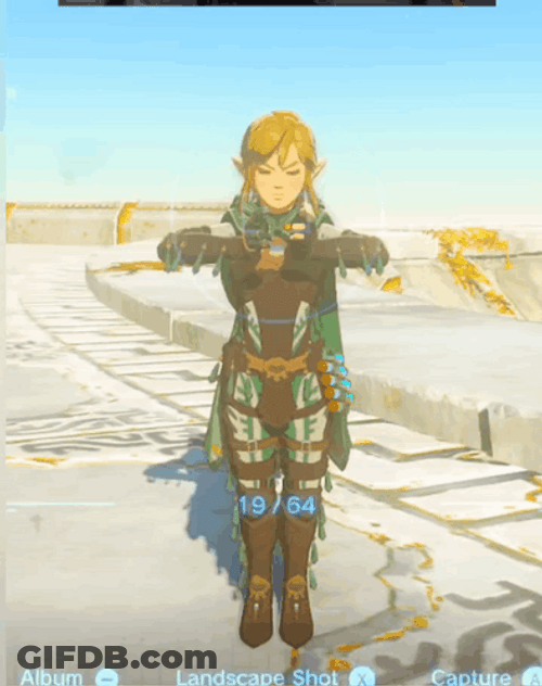 Zelda Link Dab Hands GIF