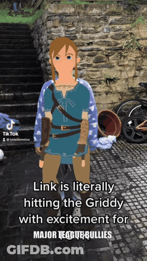 Zelda Link Is Hitting The Griddy GIF