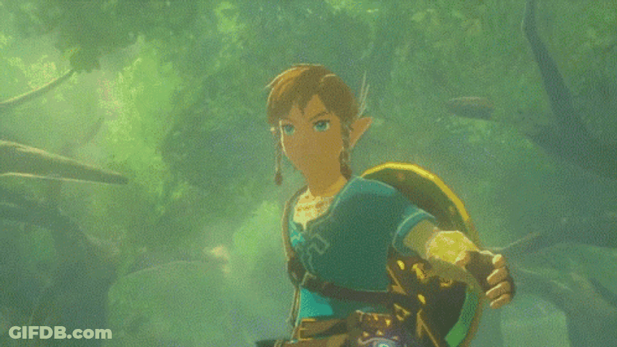 Zelda Link Swinging Sword GIF