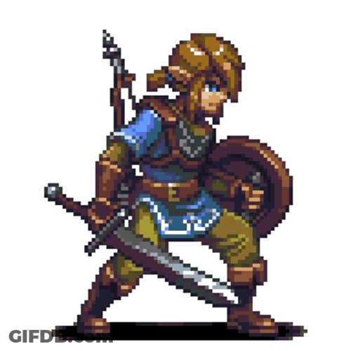 Zelda Link With Sword And Shield GIF
