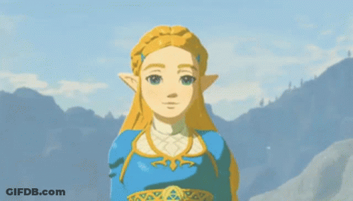 Zelda Princess Zelda GIF