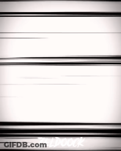 Zeldock Black Lines On White Background GIF