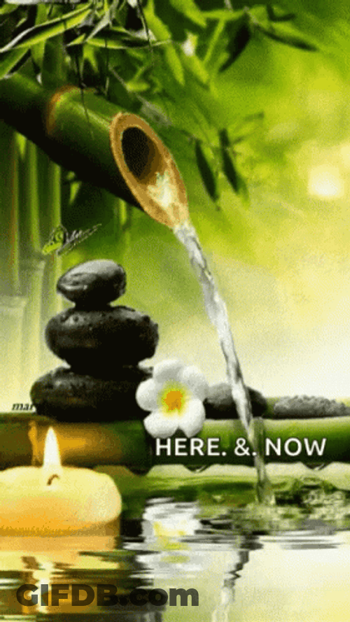 Zen Bamboo Water Relaxing Meditation GIF