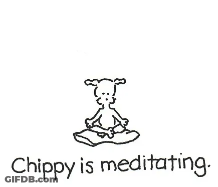 Zen Chippy The Dog GIF