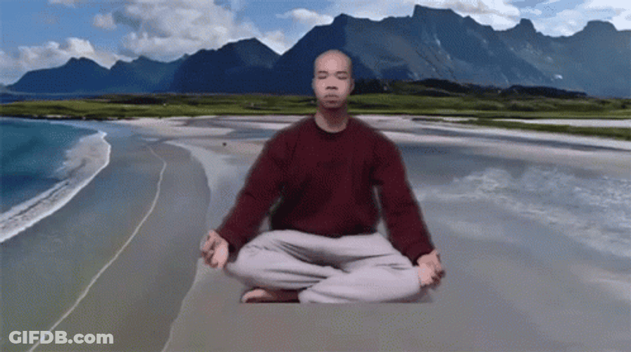 Zen Mind Dodging Meme GIF