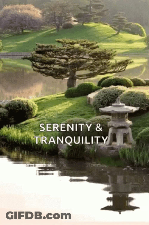 Zen Serenity Terrazo Japanese Garden GIF