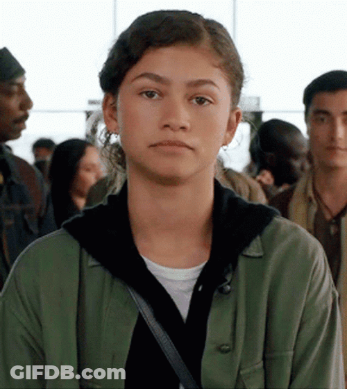 Zendaya Sarcasm Smile GIF