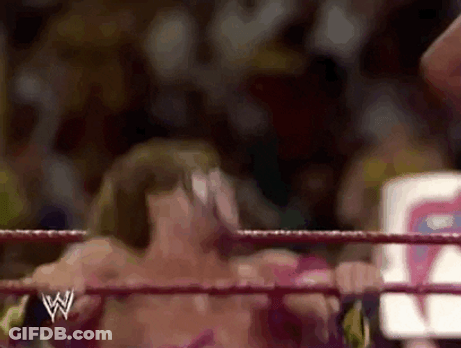 Zestful Ultimate Warrior GIF