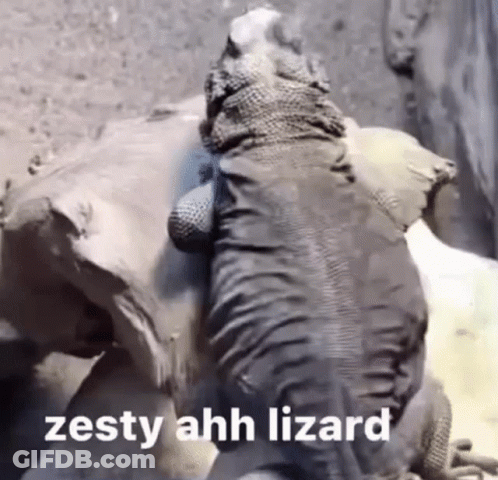Zesty Ahh Lizard GIF