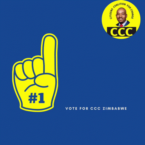 Zimbabwe Citizens Coalition For Change GIF