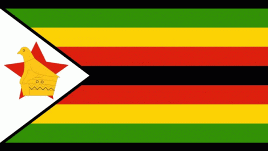 Zimbabwe Join Discord Server GIF