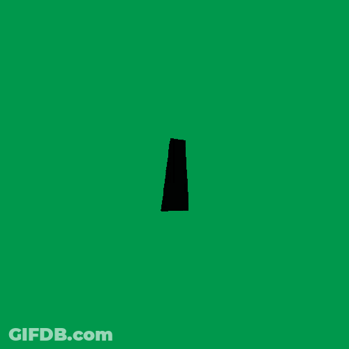 Zimbabwe Zimpride GIF