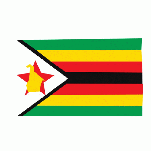 Zimbabwean Cartoon Flag GIF