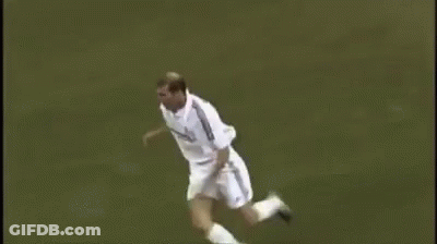 Zinedine Zidane Soccer GIF