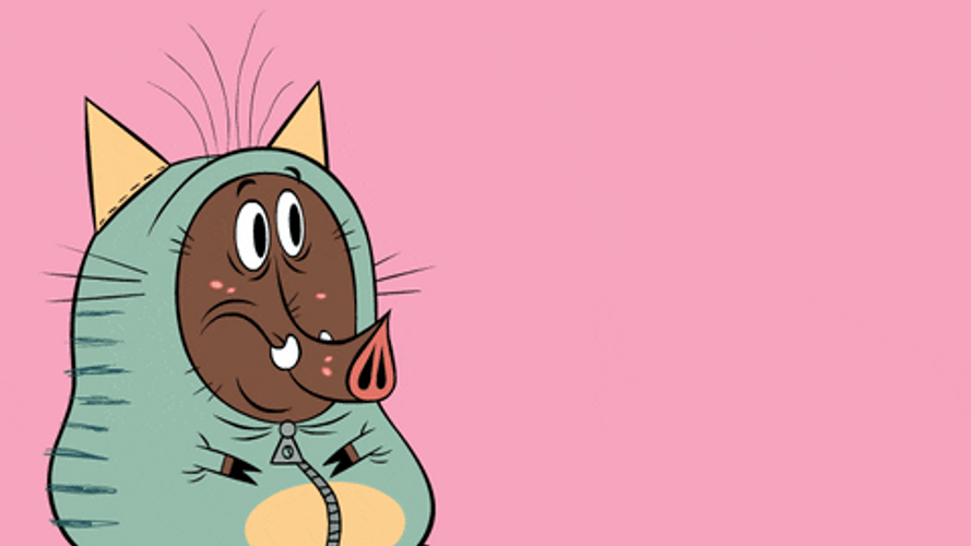 Zip Zip Pig Are You Sure GIF