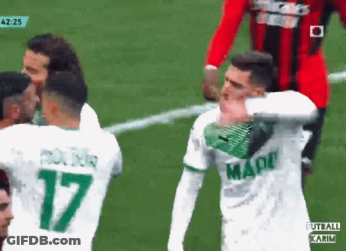 Zlatan Fight Ibra Fight GIF