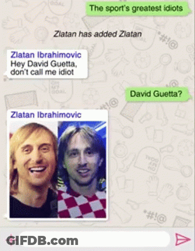 Zlatan Ibrahimovic David Guetta Conversation GIF