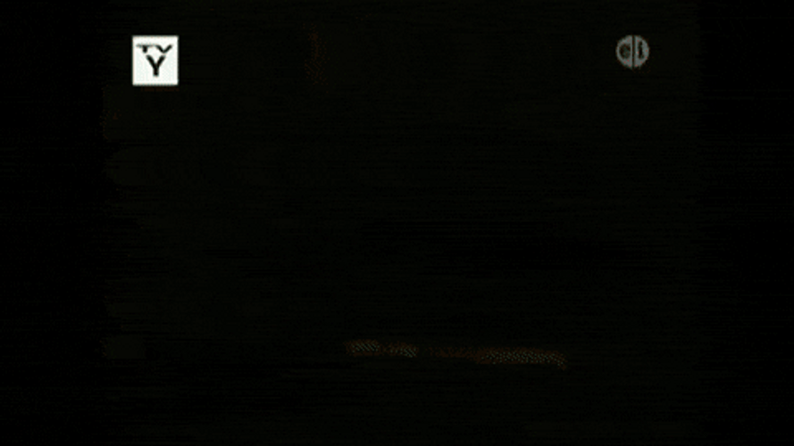 Zoboomafoo Pbs Kids GIF