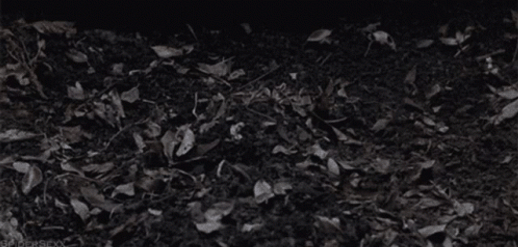 Zombie Head Spring Up GIF