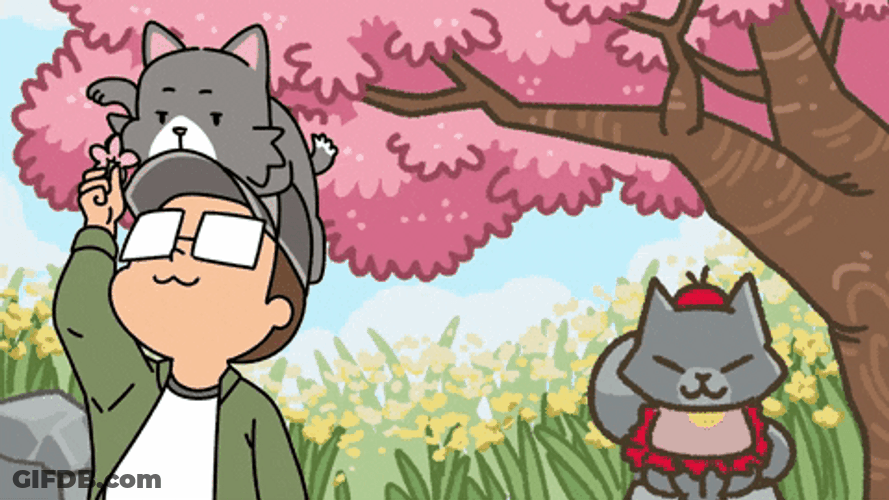 Zoom Background Cherry Blossom Cartoon GIF