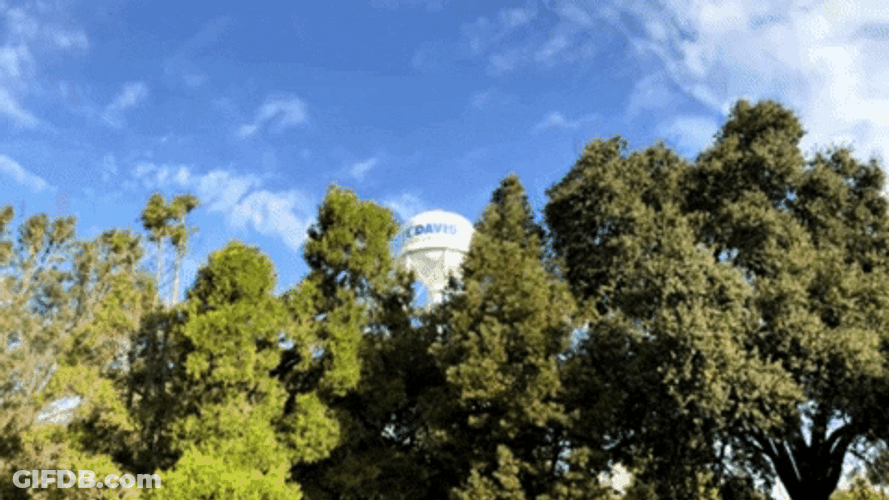 Zoom Background Morning Skies GIF