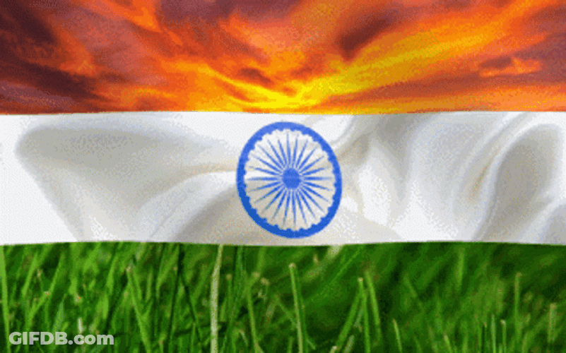 Zoom In Indian Flag GIF