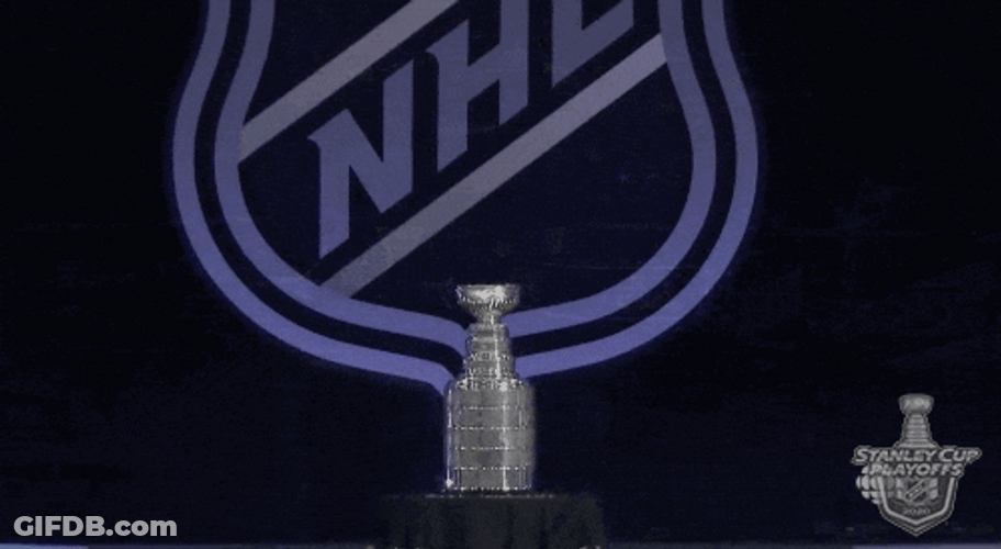 Zooming In On Stanley Cup NHL GIF