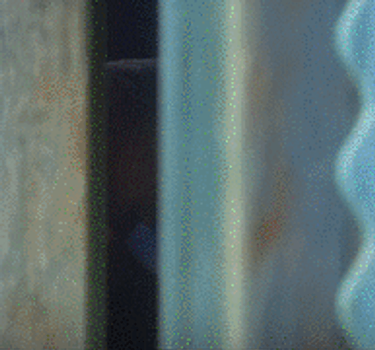 Zootopia Judy Hopps Covers Face GIF
