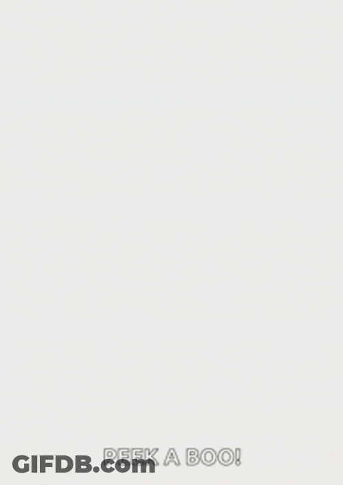 Zootopia Nick Wilde Fox Peek A Boo GIF