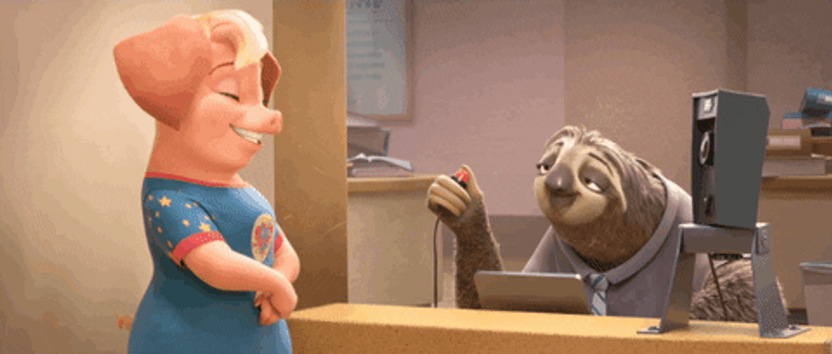Zootopia Sloth Taking Pictures GIF