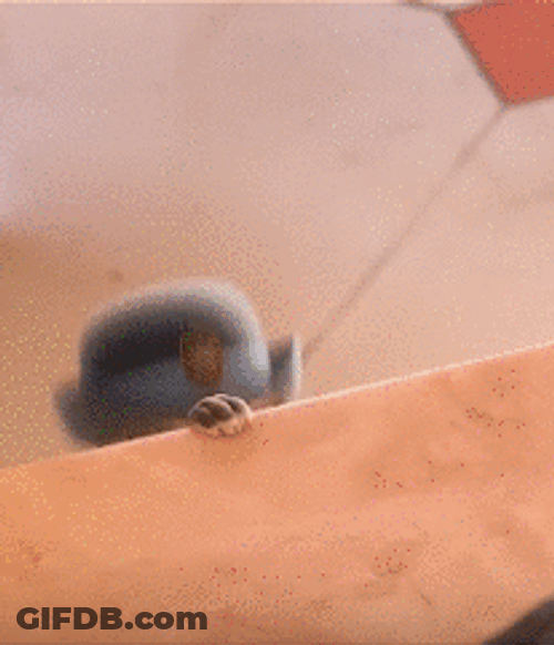 Zootopia Take My Money GIF
