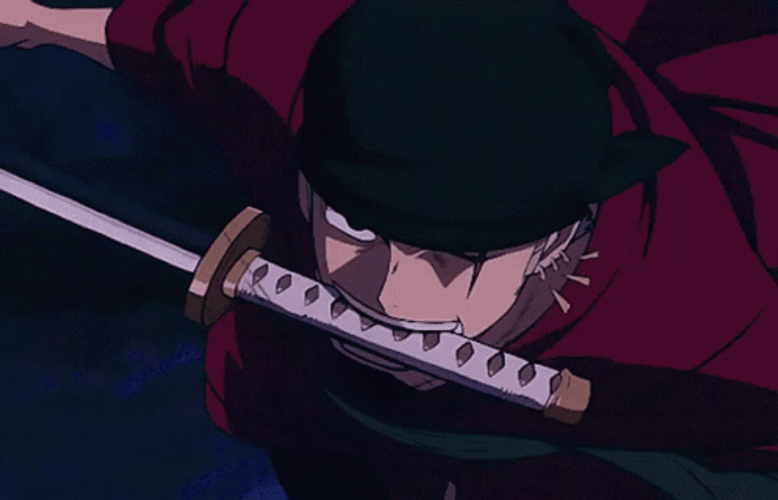 Zoro Master Swordsman GIF