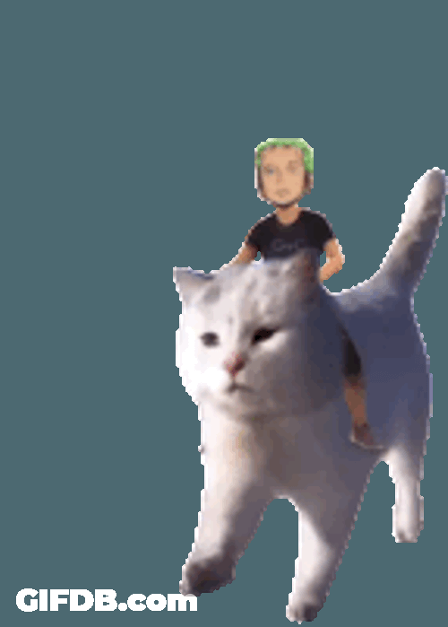 Zoro One Sticker GIF