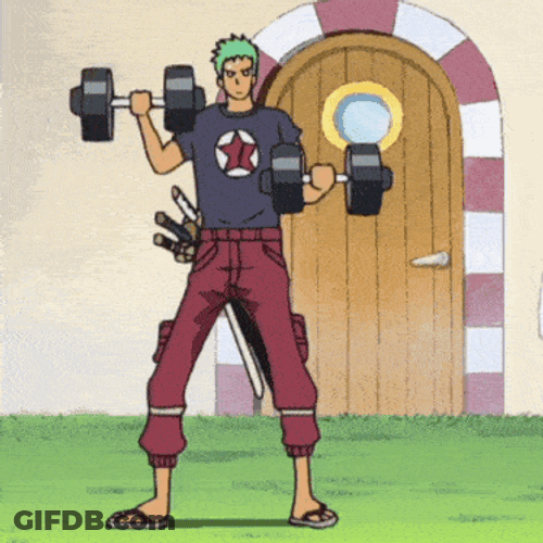 Zoro Roronoa Zoro GIF