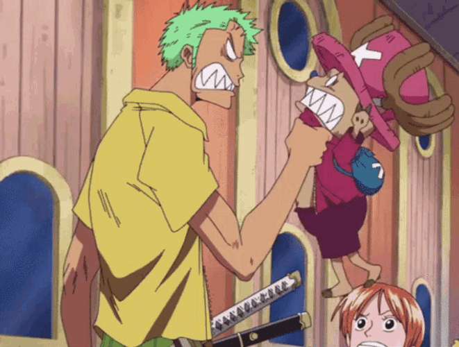 Zoro Shout At Chopper GIF