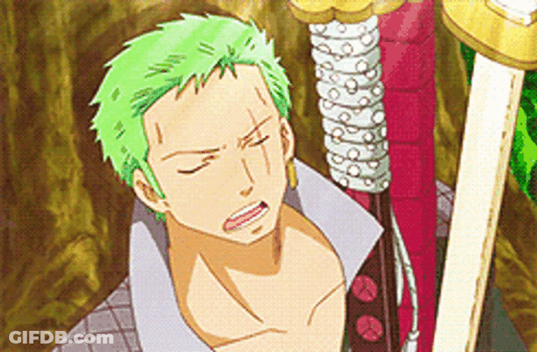 Zoro Sleep One Piece GIF