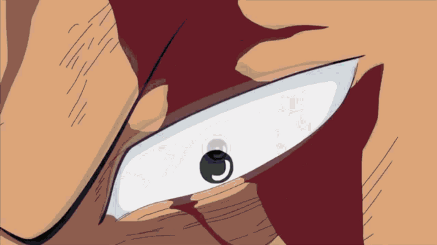Zoro Takes Luffy's Pain GIF
